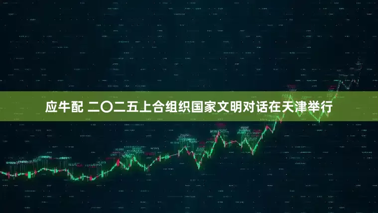 应牛配 二〇二五上合组织国家文明对话在天津举行
