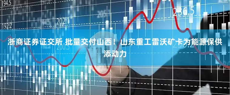 浙商证券证交所 批量交付山西！山东重工雷沃矿卡为能源保供添动力