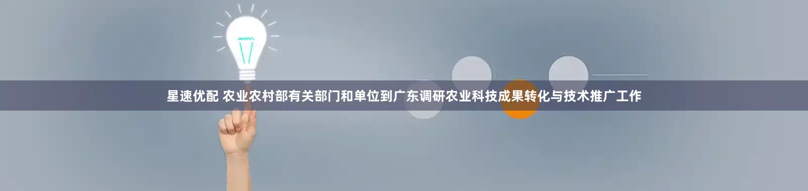 星速优配 农业农村部有关部门和单位到广东调研农业科技成果转化与技术推广工作