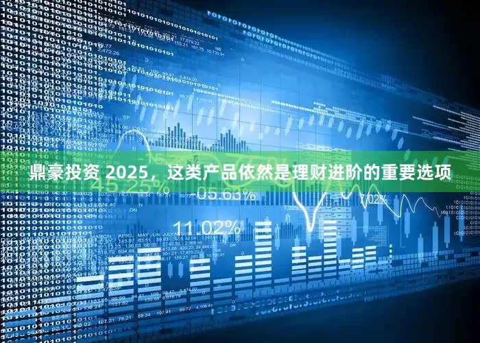 鼎豪投资 2025，这类产品依然是理财进阶的重要选项
