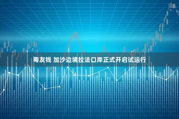 粤友钱 加沙边境拉法口岸正式开启试运行